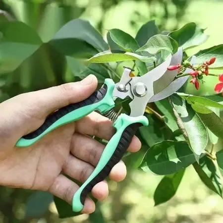 Seo Test Product Check - Product Image 1