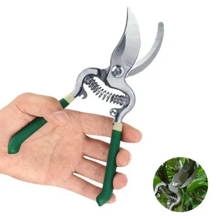 Latest New Bag Trending Product - Product Image 2
