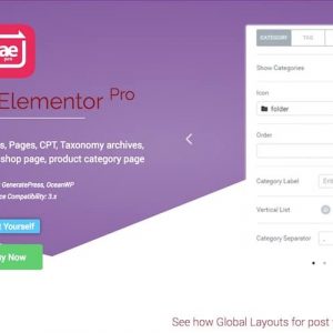 AnyWhere Elementor Pro