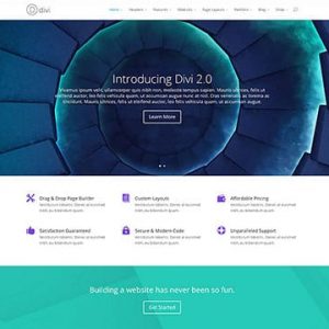 Divi-The Most Popular Premium WordPress Theme