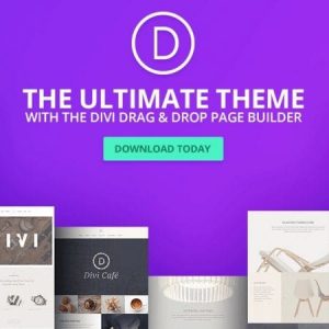 Divi-The Most Popular Premium WordPress Theme