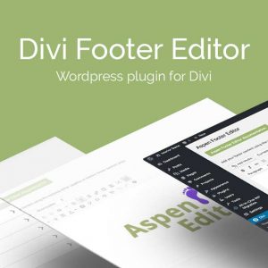 Aspen divi footer editor