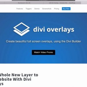 Divi Overlays layout