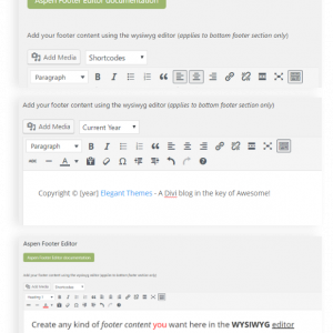 Aspen divi footer editor