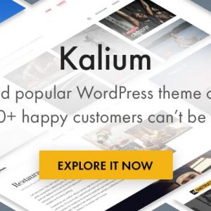 Kalium Creative Theme for Professionals