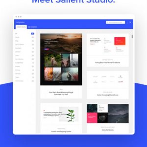 Responsive Multi Purpose Theme-Salient