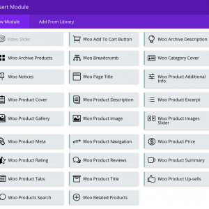 DIVI WOOCOMMERCE BUILDER