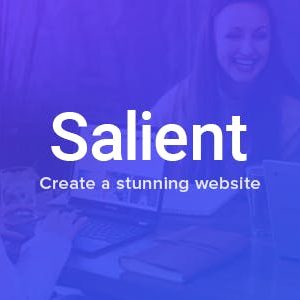 Responsive Multi Purpose Theme-Salient