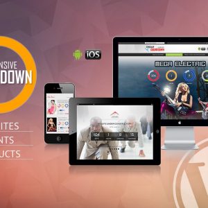CountDown Pro WP Plugin – WebSites/Products/Offers