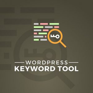 WordPress Keyword Tool Plugin