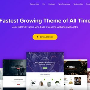 Astra – Fast, Lightweight & Customizable WordPress Premium Theme