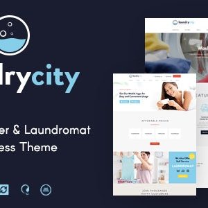 Dry Cleaning Services WordPress Theme