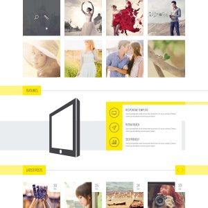 Amilia – Multipurpose One & Multi Page WP Theme