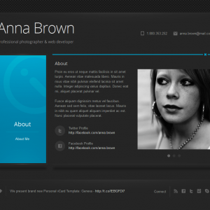 Personal vCard WordPress Theme