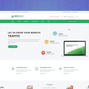 WordPress Theme for SEO