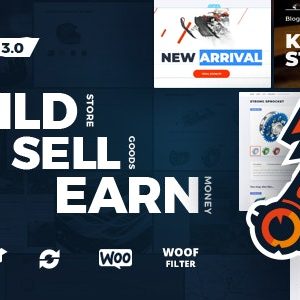 Motor – Cars, Parts, Service, Equipments and Accessories WooCommerce Store