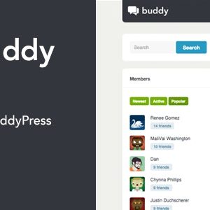 Buddy: Simple WordPress & BuddyPress Theme