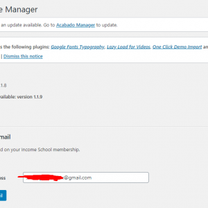 Acabado Income School WordPress Theme