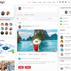 Buddy: Simple WordPress & BuddyPress Theme