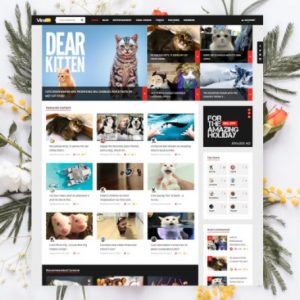 ViralVideo – Responsive Magazine WordPress Theme
