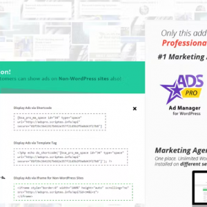 Ads Pro Add-on – WordPress Marketing Agency