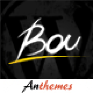 Personal News Review  Magazine Theme-Bou